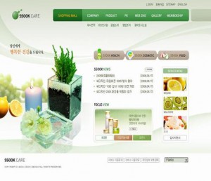 Korea company template