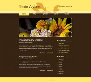 Personal blog download HTML template
