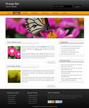 Resource design CSS templates download